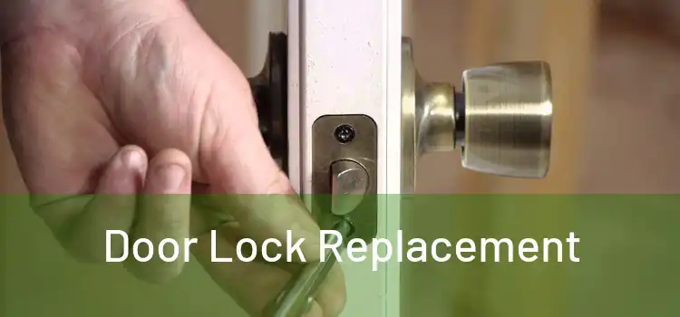  Door Lock Replacement 